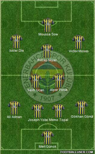 Fenerbahçe SK Formation 2013