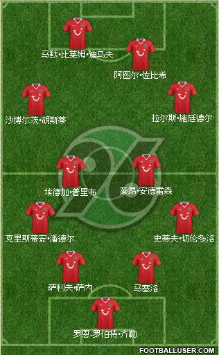 Hannover 96 Formation 2013