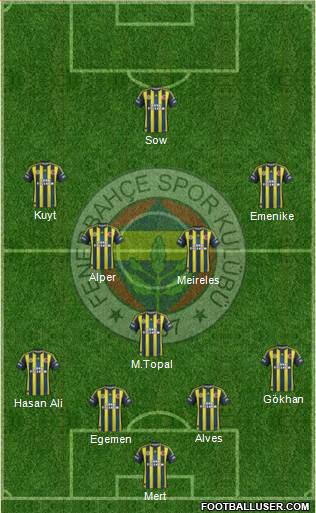 Fenerbahçe SK Formation 2013