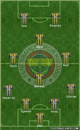 Fenerbahçe SK Formation 2013