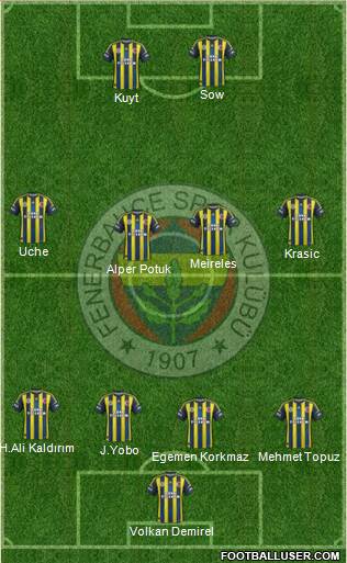 Fenerbahçe SK Formation 2013