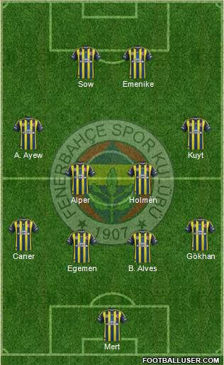 Fenerbahçe SK Formation 2013
