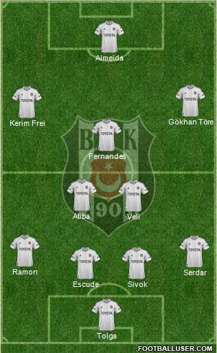 Besiktas JK Formation 2013