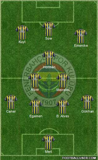 Fenerbahçe SK Formation 2013