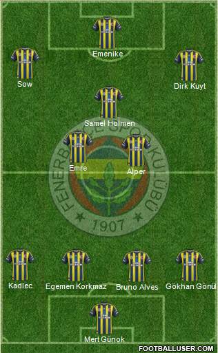 Fenerbahçe SK Formation 2013