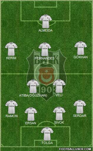 Besiktas JK Formation 2013