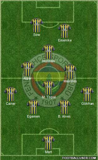 Fenerbahçe SK Formation 2013