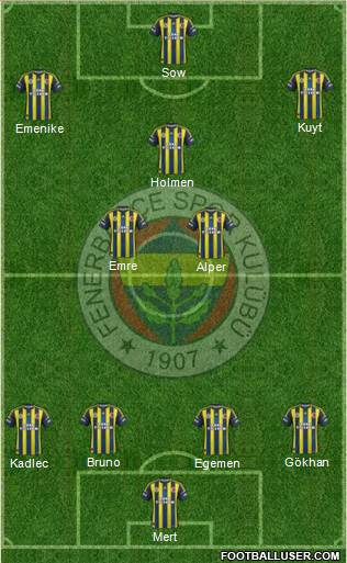 Fenerbahçe SK Formation 2013