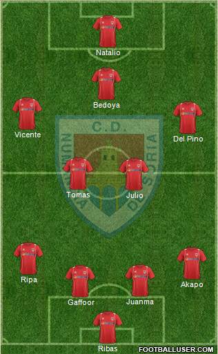 C.D. Numancia S.A.D. Formation 2013