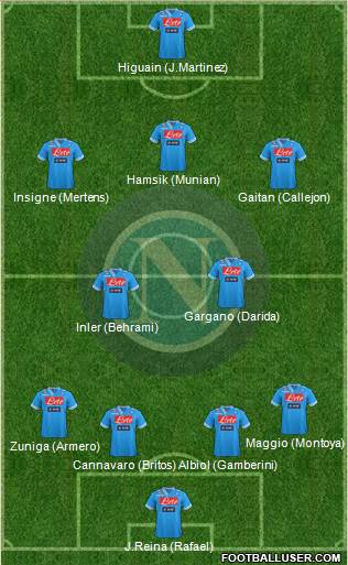Napoli Formation 2013