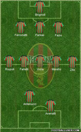 Ternana Formation 2013