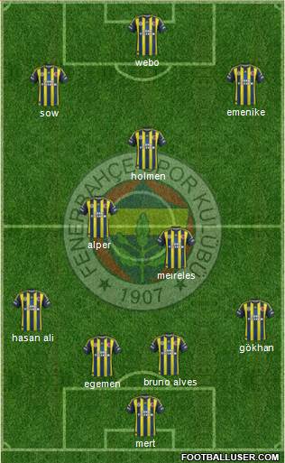 Fenerbahçe SK Formation 2013