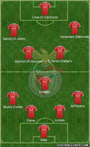 Sport Lisboa e Benfica - SAD Formation 2013