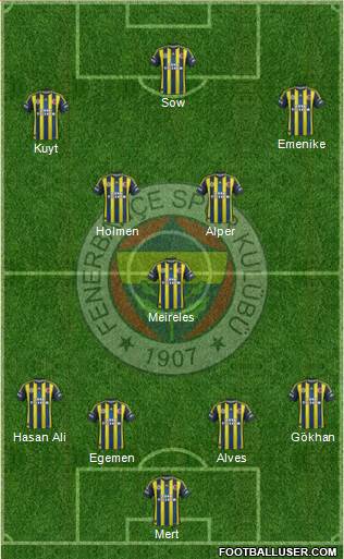 Fenerbahçe SK Formation 2013