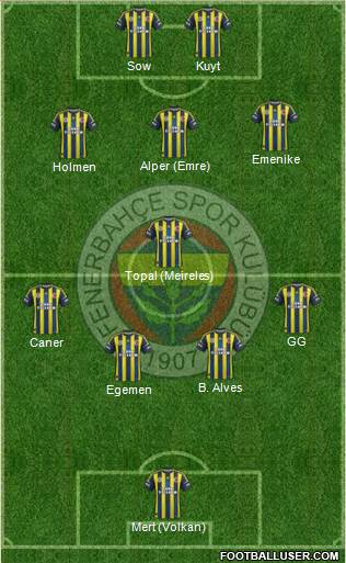 Fenerbahçe SK Formation 2013