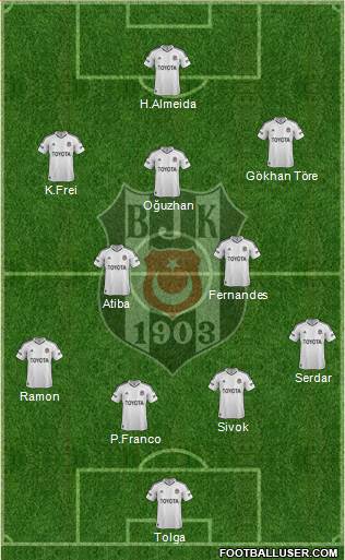 Besiktas JK Formation 2013