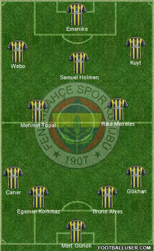 Fenerbahçe SK Formation 2013