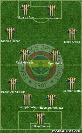 Fenerbahçe SK Formation 2013