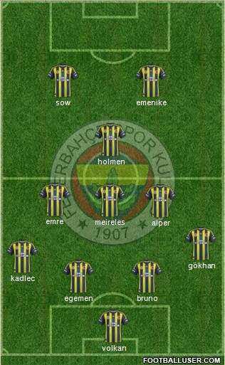 Fenerbahçe SK Formation 2013