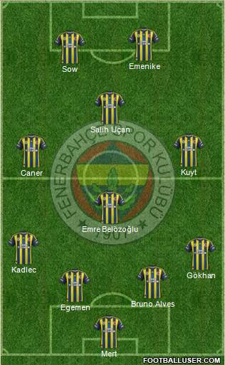 Fenerbahçe SK Formation 2013