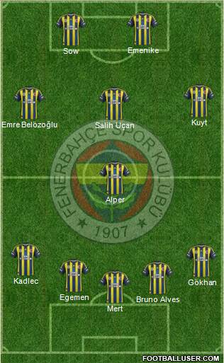 Fenerbahçe SK Formation 2013