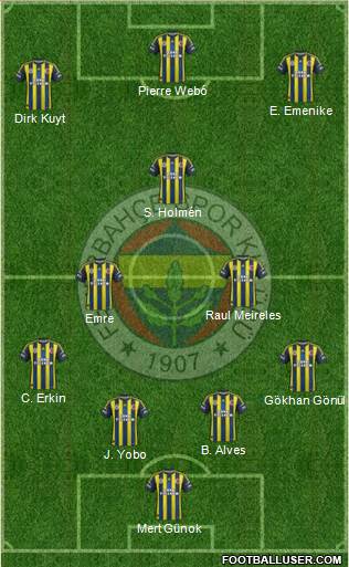 Fenerbahçe SK Formation 2013