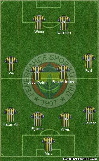 Fenerbahçe SK Formation 2013