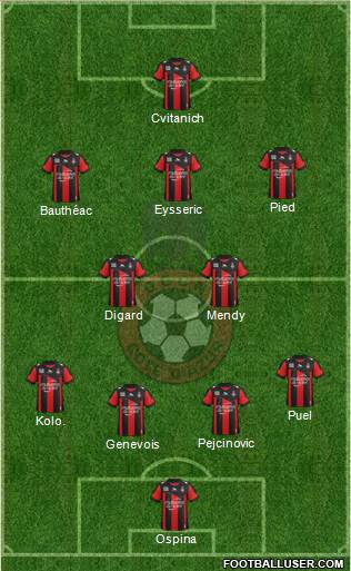 OGC Nice Côte d'Azur Formation 2013