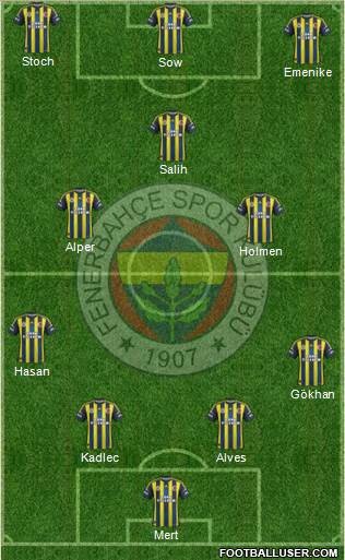 Fenerbahçe SK Formation 2013