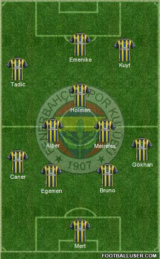 Fenerbahçe SK Formation 2013