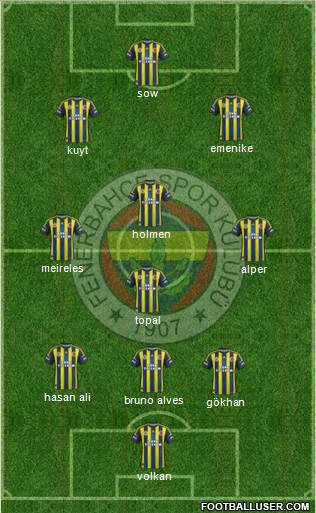 Fenerbahçe SK Formation 2013