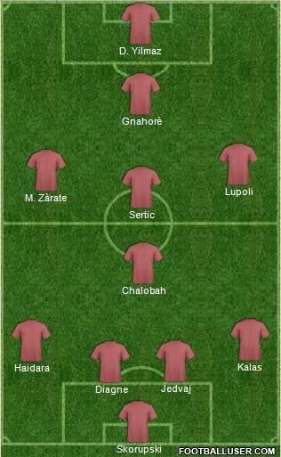 Newcastle United Formation 2013