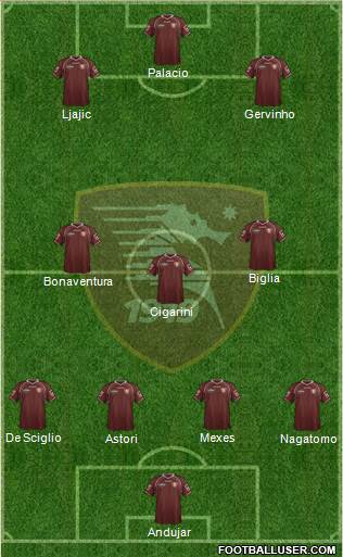 Salernitana Formation 2013