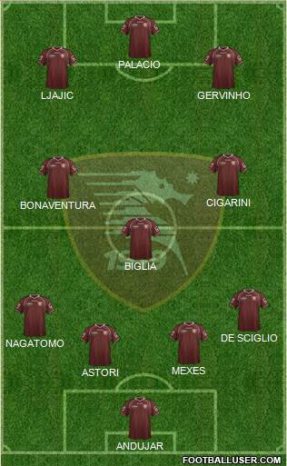 Salernitana Formation 2013