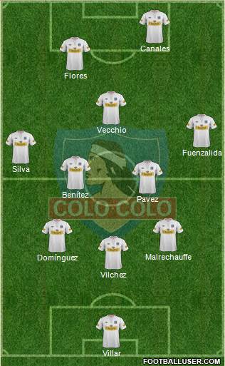CSD Colo Colo Formation 2013