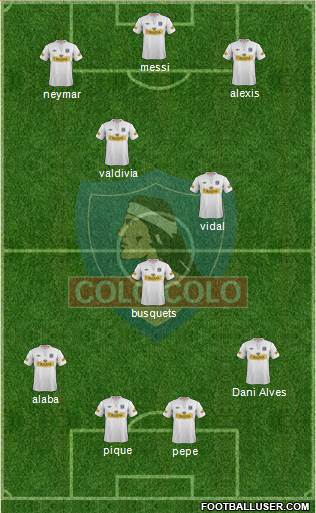 CSD Colo Colo Formation 2013