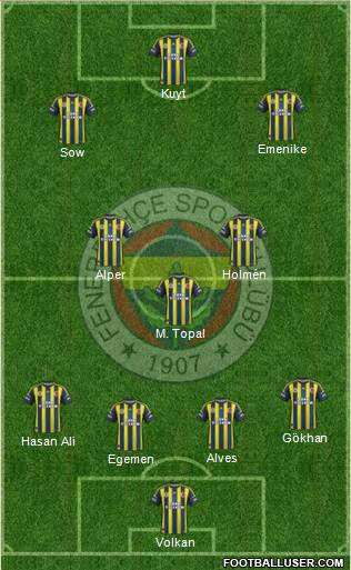 Fenerbahçe SK Formation 2013