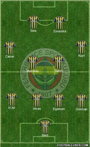 Fenerbahçe SK Formation 2013