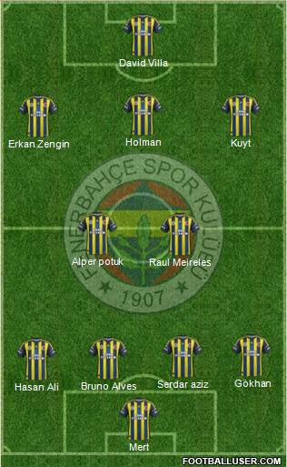 Fenerbahçe SK Formation 2013