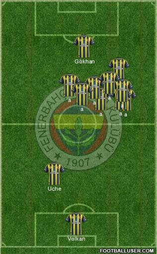 Fenerbahçe SK Formation 2013