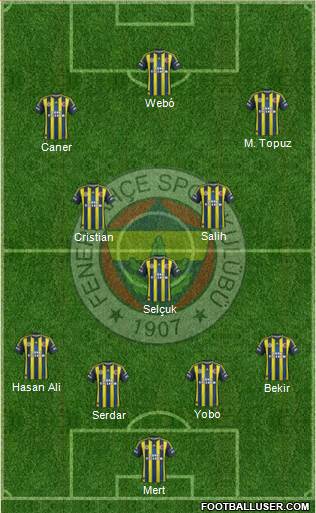 Fenerbahçe SK Formation 2013