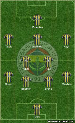 Fenerbahçe SK Formation 2013