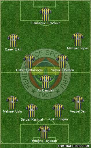 Fenerbahçe SK Formation 2013