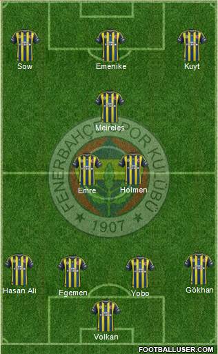Fenerbahçe SK Formation 2013