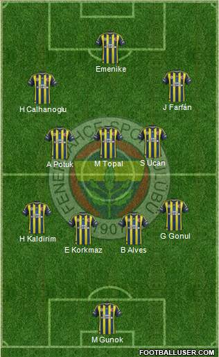 Fenerbahçe SK Formation 2013