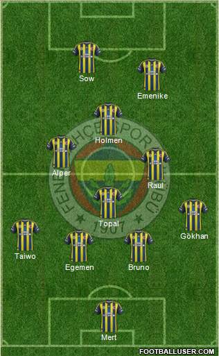 Fenerbahçe SK Formation 2013