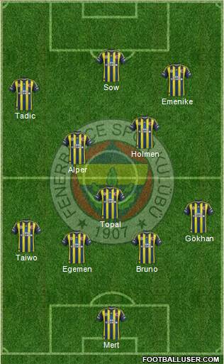 Fenerbahçe SK Formation 2013