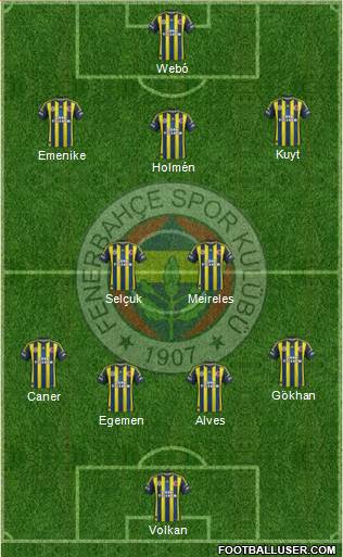 Fenerbahçe SK Formation 2013
