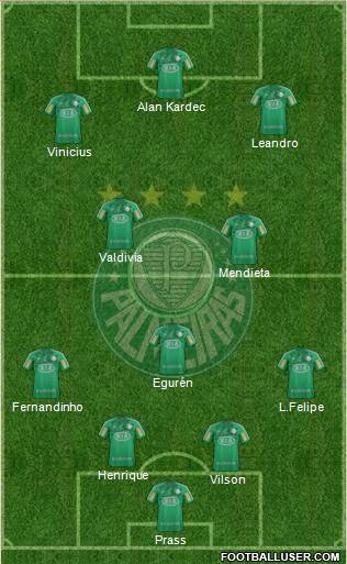 SE Palmeiras Formation 2013