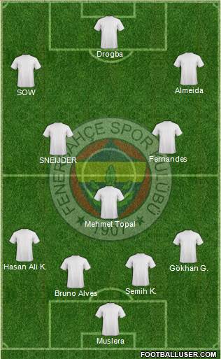 Fenerbahçe SK Formation 2013